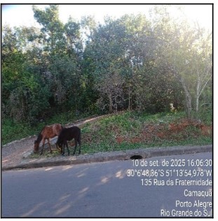 Terreno da Caixa em PORTO ALEGRE / RS - 10278715