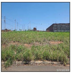 Terreno da Caixa em MOGI MIRIM / SP - 10281983