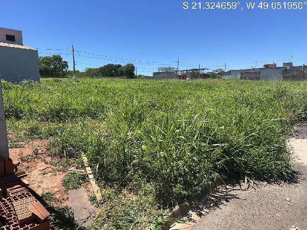 Terreno da Caixa em ITAJOBI / SP - 8444426025653