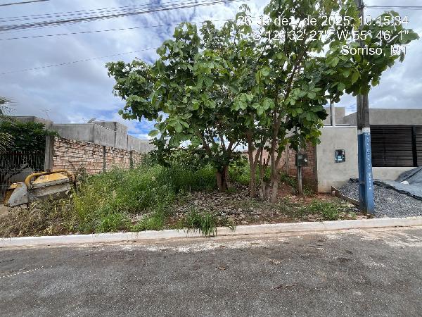 Terreno da Caixa em SORRISO / MT - 8444426282435