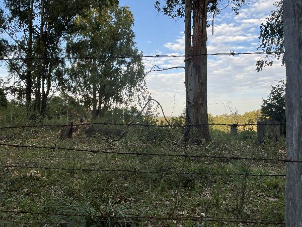 Terreno da Caixa em ELDORADO DO SUL / RS - 1444421130965