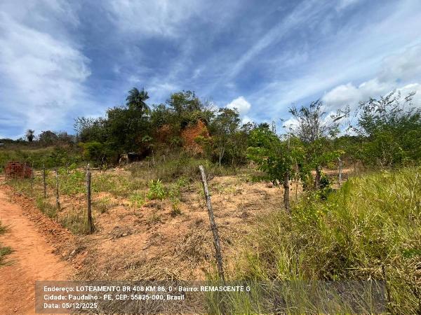 Terreno da Caixa em PAUDALHO / PE - 1444423696931