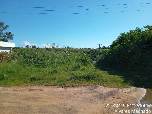 Terreno da Caixa em ALVARES MACHADO / SP - 8444435719999