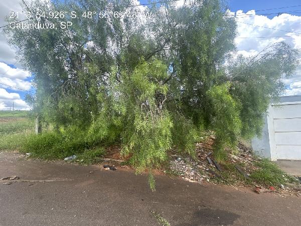 Imóvel da Caixa em CATANDUVA / SP - 8444425689523