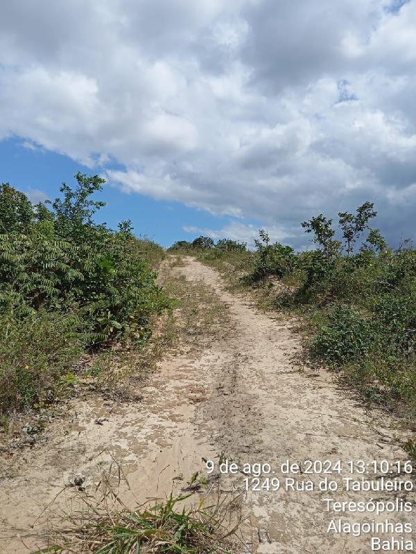 Imóvel da Caixa em ALAGOINHAS / BA - 1555535804258