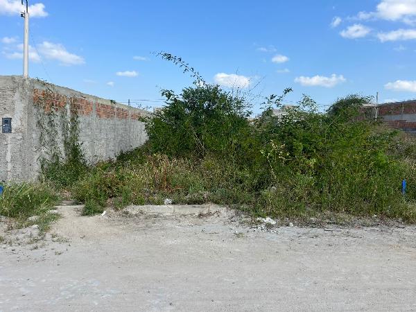 Imóvel da Caixa em CARUARU / PE - 8444428446435