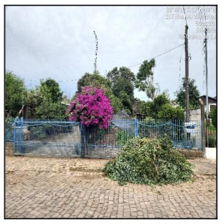 Terreno da Caixa em SOLEDADE / RS - 10300066