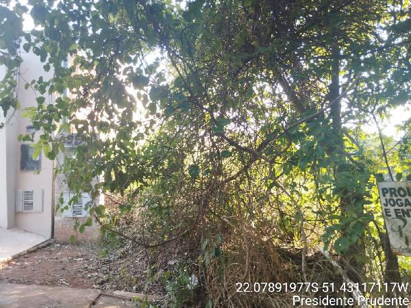 Terreno da Caixa em PRESIDENTE PRUDENTE / SP - 8444432396820