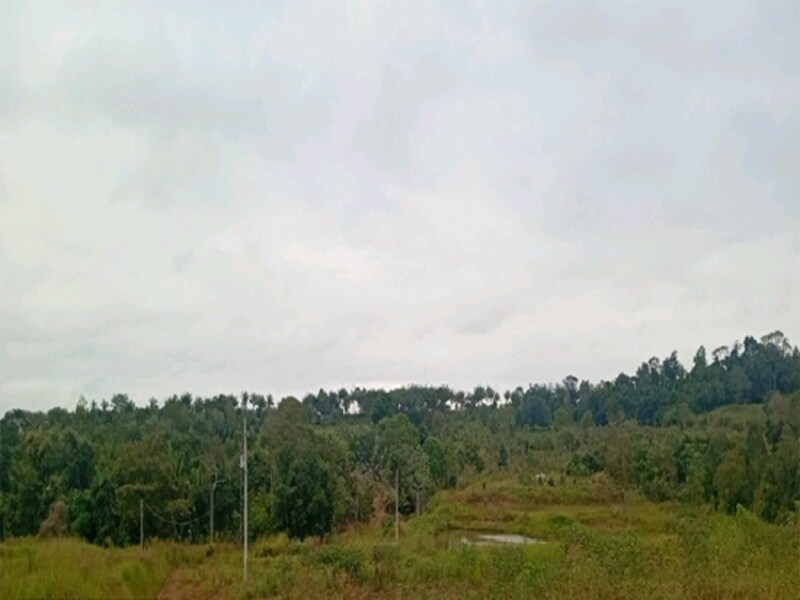 Terreno Bradesco em Espigão D'oeste / RO - a255ecf7