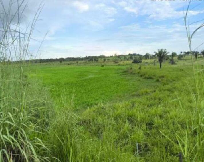 Imóvel Rural Bradesco em Maranhãozinho / MA - 4479eae1