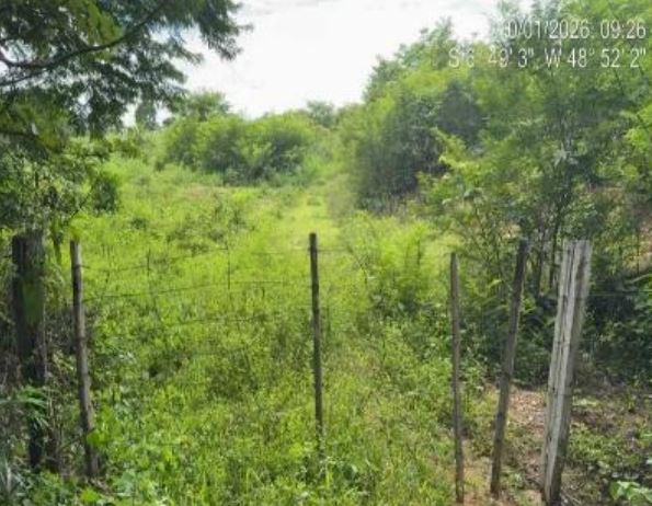Imóvel Rural Bradesco em Muricilândia  / TO - aed373a0