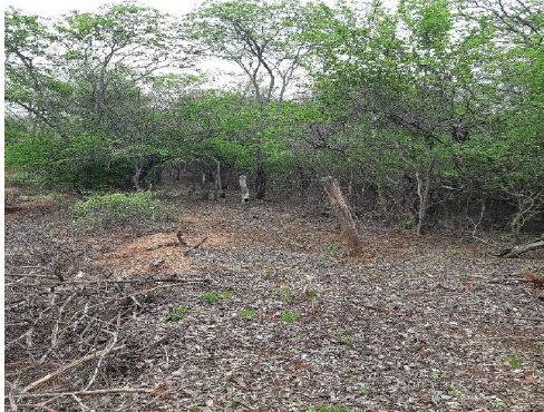 Imóvel Rural Bradesco em Pedras De Maria Da Cruz / MG - af0fe134