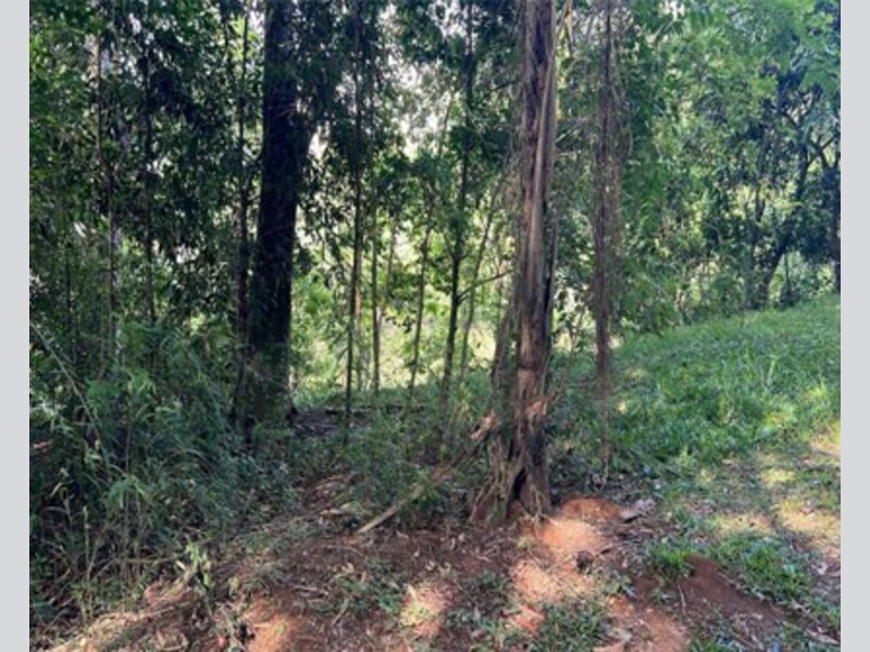 Terreno Bradesco em Prudentópolis / PR - f8b6a668