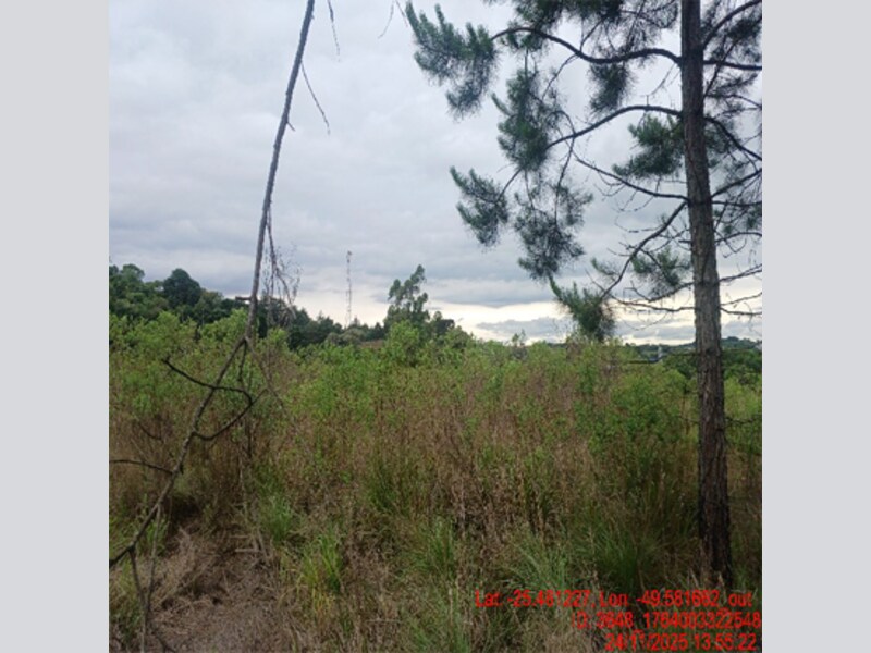 Terreno Bradesco em Balsa Nova / PR - c80b19b0