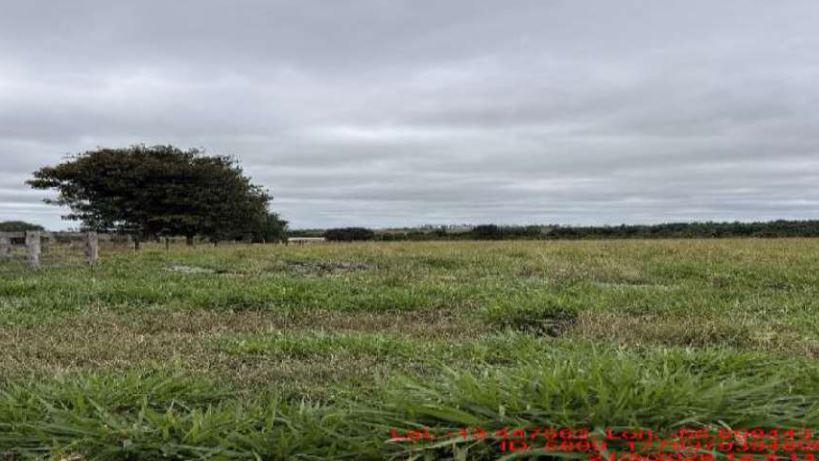 Imóvel Rural Bradesco em São José Do Rio Claro / MT - e00c018f