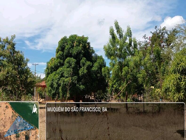 Imóvel Rural Bradesco em Muquém Do São Francisco / BA - 46fd56e3
