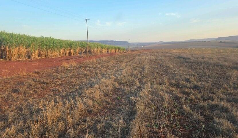 Imóvel Rural Bradesco em Rio Verde / GO - 025bfdcd