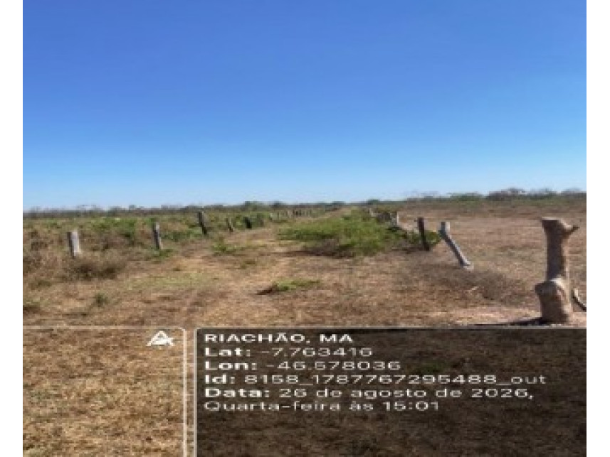 Imóvel Rural Bradesco em Riachão / MA - 1259d049